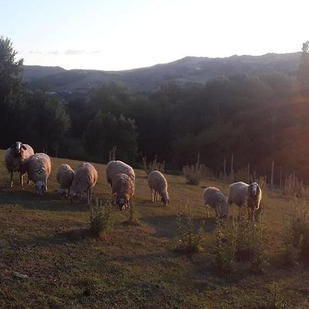 All'Ovile Montevescovo Luaran gambar