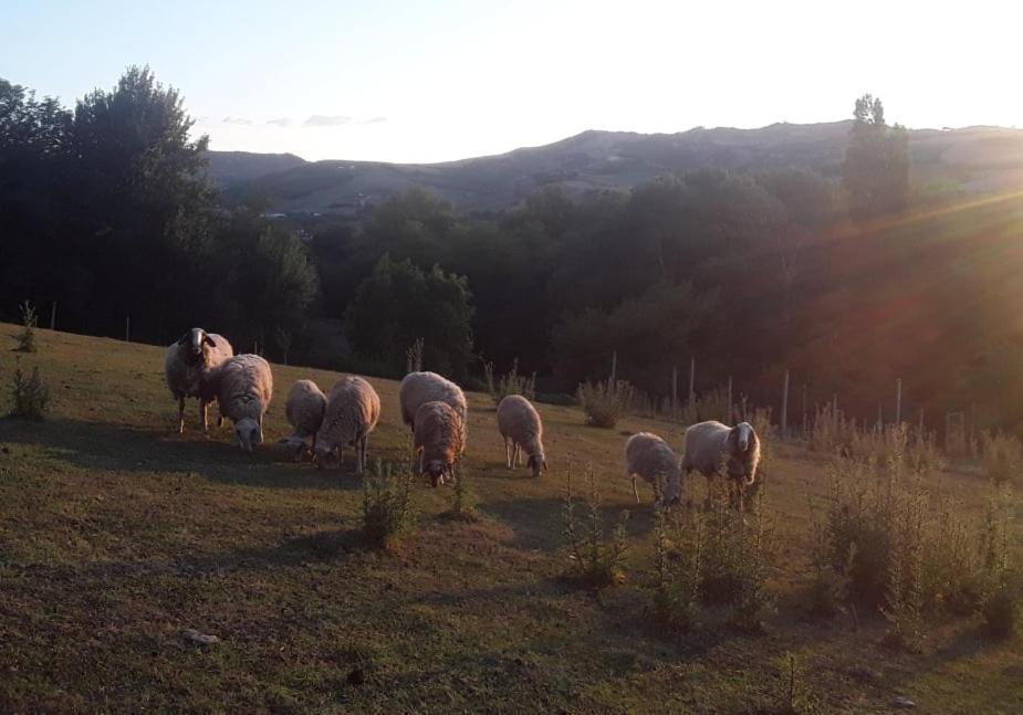 All'Ovile Montevescovo Luaran gambar